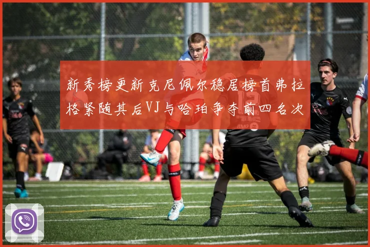 新秀榜更新克尼佩尔稳居榜首弗拉格紧随其后VJ与哈珀争夺前四名次