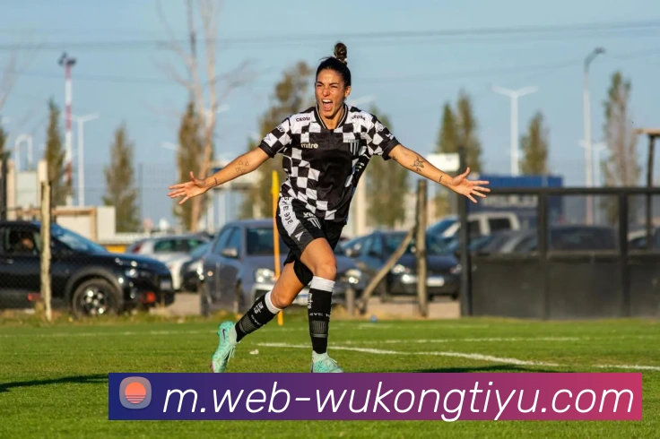 悟空体育APP 封面图