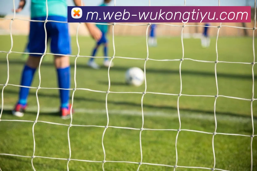 数据防护可视化